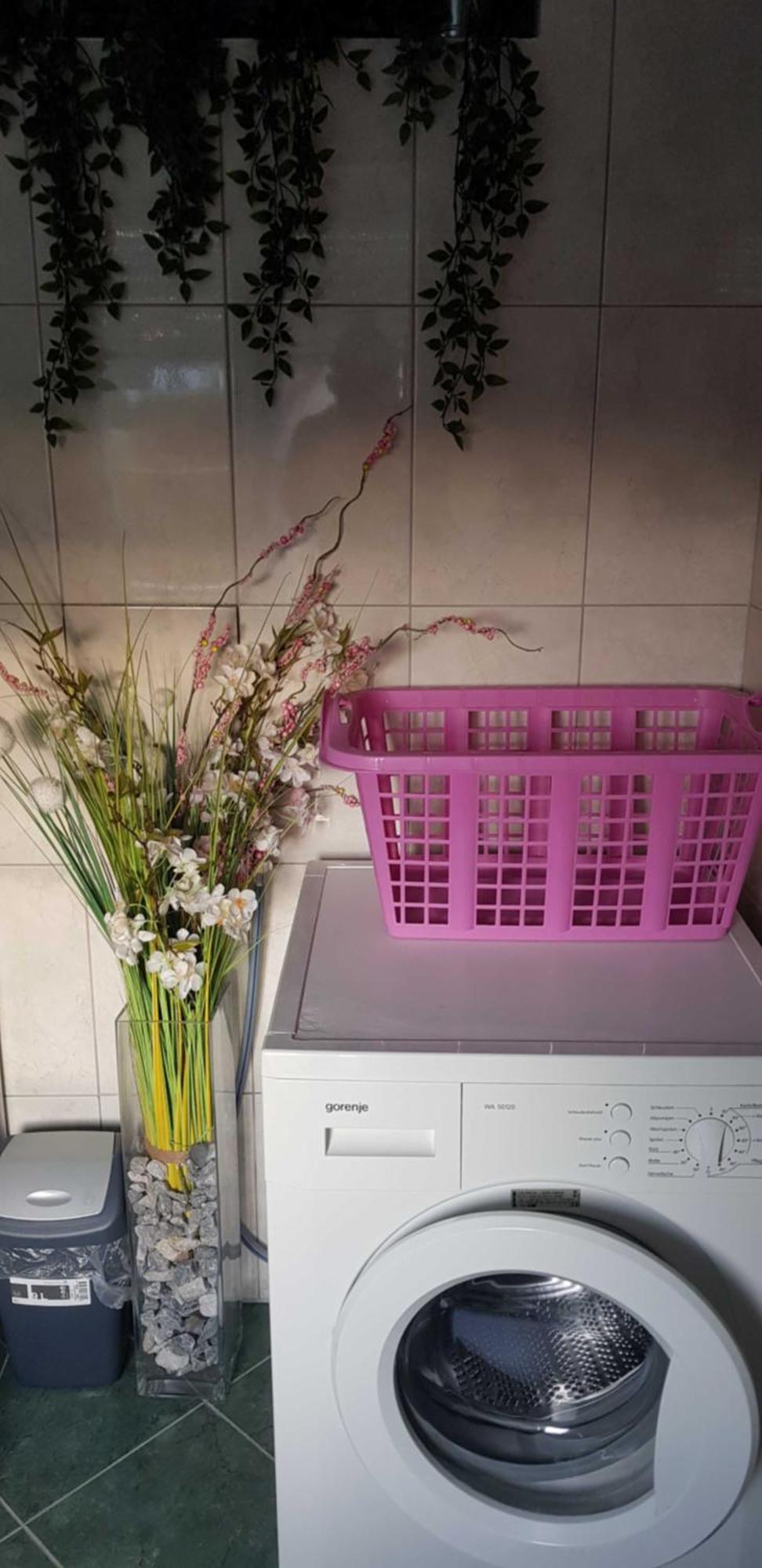 לאנגנלויס Ferienwohnung Borse מראה חיצוני תמונה
